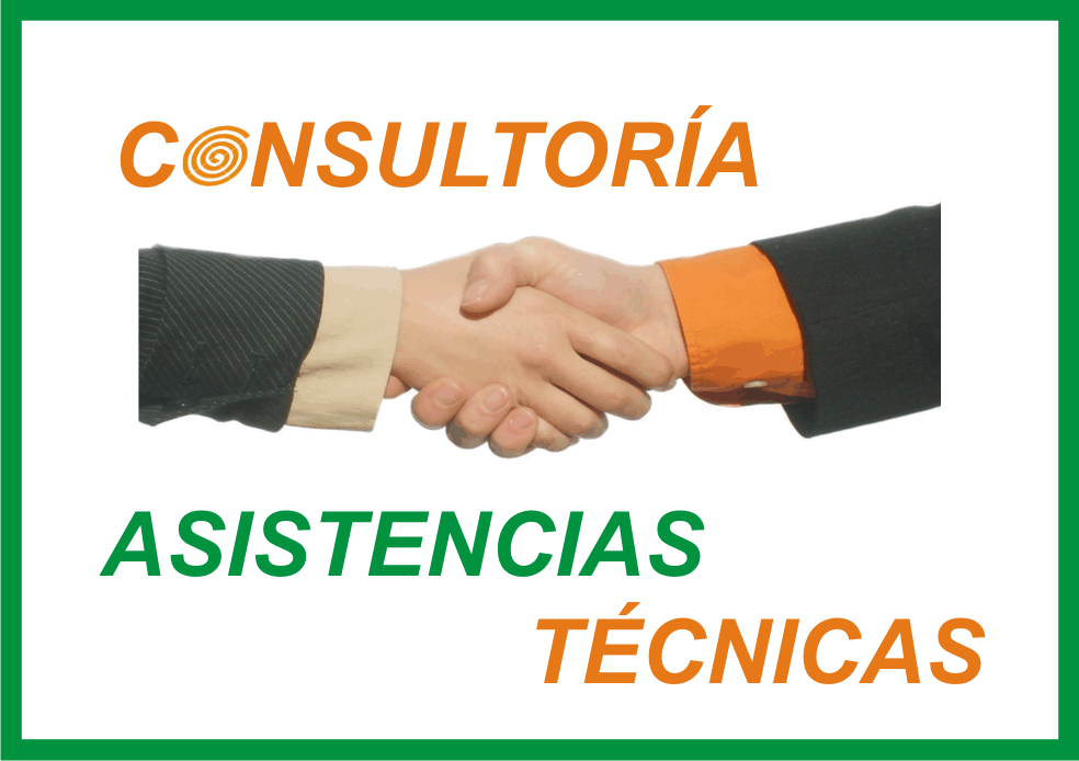 Consultoría y Asistencia Técnica